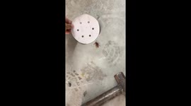 Man pranks friend with cockroach, causing panic in Novo Hamburgo, Brazil