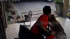 Protective owner rugby tackles husky to stop her escaping
