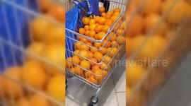 France: French Activists Launch Boycott Campaign Against Israeli Products in Shopping Malls