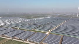 Power company executive hails China as