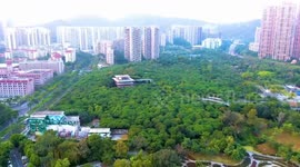 Int'l business leaders, observers praise China's leadership in sustainable development
