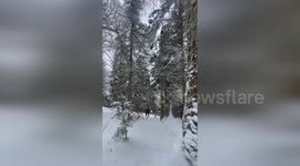 Plane crashes into remote forest in Vermont