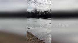 Hero cop saves stranded dog from frozen lake in New Jersey