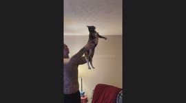 Boyfriend Attempts To Exorcise Cat's Demon