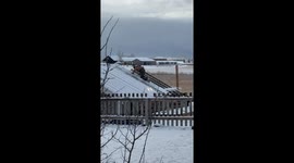 Turns Out That Sliding Off the Roof Is the Fastest Way to Clear Snow