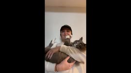 The Day I Brought Boots the Cat Home