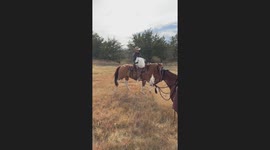 Horse Suddenly Bucks Off Rider