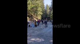 US: Protests Erupt At National Parks Over Trump Administration’s Ranger Layoffs