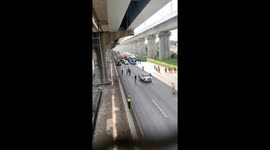 Angry cow on toll road causes one-hour traffic jam in Bekasi