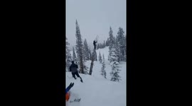 Man falls after breaking tree while gathering firewood in Alta, Wyoming, USA