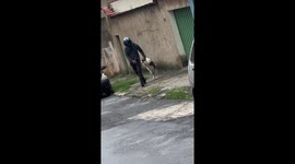 Escaped dog calmly captured by owner in Belo Horizonte, Minas Gerais, Brazil