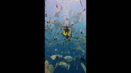 Diver captures stunning underwater view in Hulhumalé, Maldives