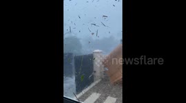 Réunion: Cyclone Garance Slams Island With Fierce Winds 7