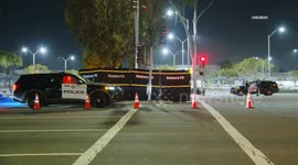 US, Los Angeles: Ventura Pedestrian and Dog Fatally Struck by Vehicle