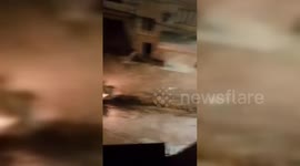 Palestine: Israeli Military Destroys Streets in Jenin Amid Continued Raids