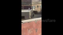 Israeli soldiers are trying to forcibly storm a house during the ongoing raid into the village of Shuqba