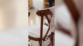 Bride planned wedding in 24 hours - so dying dad could walk her down the aisle