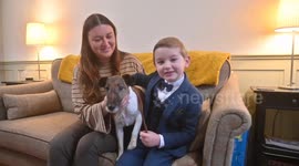 Schoolboy becomes Crufts' youngest entrant - aged six