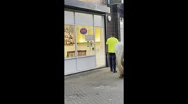 Horse joins man at café after staff gives permission for special day out