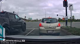 Three pet dogs leap from moving car... before drivers step in to save them