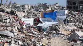 Gaza Strip: Palestinians in Gaza struggle to survive in wake of devastating destruction