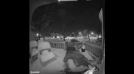 Dog Rings Doorbell For Cold Pal