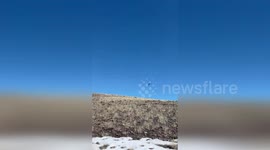 US: Golden Eagle Soars Free After Miracle Rehab Triumph
