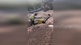 US: Hero Firefighter Saves Stranded Dog In Daring Cliff Rescue