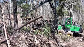 Hurricane Helene uprooted trees cleared from Swain County, North Carolina