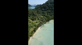 Birds of play! Hawk snatches tourist's drone from the sky