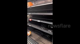 Cyclone Alfred: Supermarket shelves cleared as Brisbane residents stock up on supplies