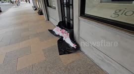Australia: Residents Brace for Cyclone Alfred with Sandbag Preparations