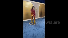 US: Joely Fisher Arrives the 31st Annual Screen Actors Guild Awards