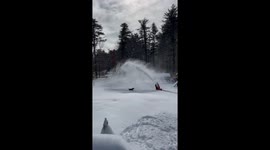 Dog Loves Catching Blowing Snow