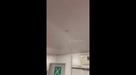 Boy spots a spider and decides to toss it on his unsuspecting mate