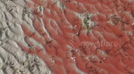 Shocked tourists watch beach turn red from oil spill in Phuket