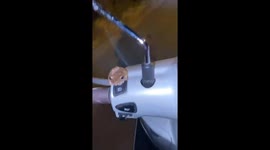 Frog hitches a ride on motorcycle handlebars