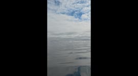 Breathtaking Whale Leap Right in Front of Us!