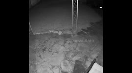 DOG VS GLASS STORMDOOR