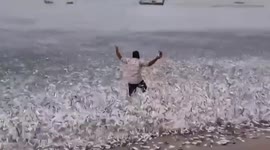 Thousands of fish wash up on beach in India