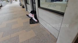 Shops prepare for Cyclone Alfred on Australia's Gold Coast