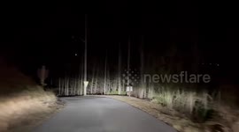 US: Wildfire Chaos in Gatlinburg as 80mph Winds Fuel Horror Blaze