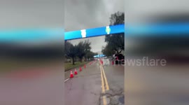 US: Heifer Sparks Chaos After Escaping Houston Rodeo