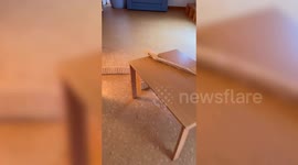 Teen builds giant domino runs through his house with cards, wooden bricks, and LEGO