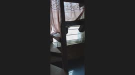 Every morning at my bedroom's window view
