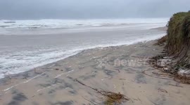 Australia: TC Alfred Brings Rain and Winds Ahead of Anticipated Landfall 4