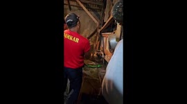Huge python caught hiding behind house wall