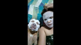 Pet dog and owner cuddle up together with skin care face masks