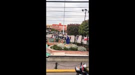 Clever dog throws trash and jumps into owner's arms in Metepec, Mexico