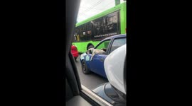 Dog spotted resting outside car window during traffic in Mexico